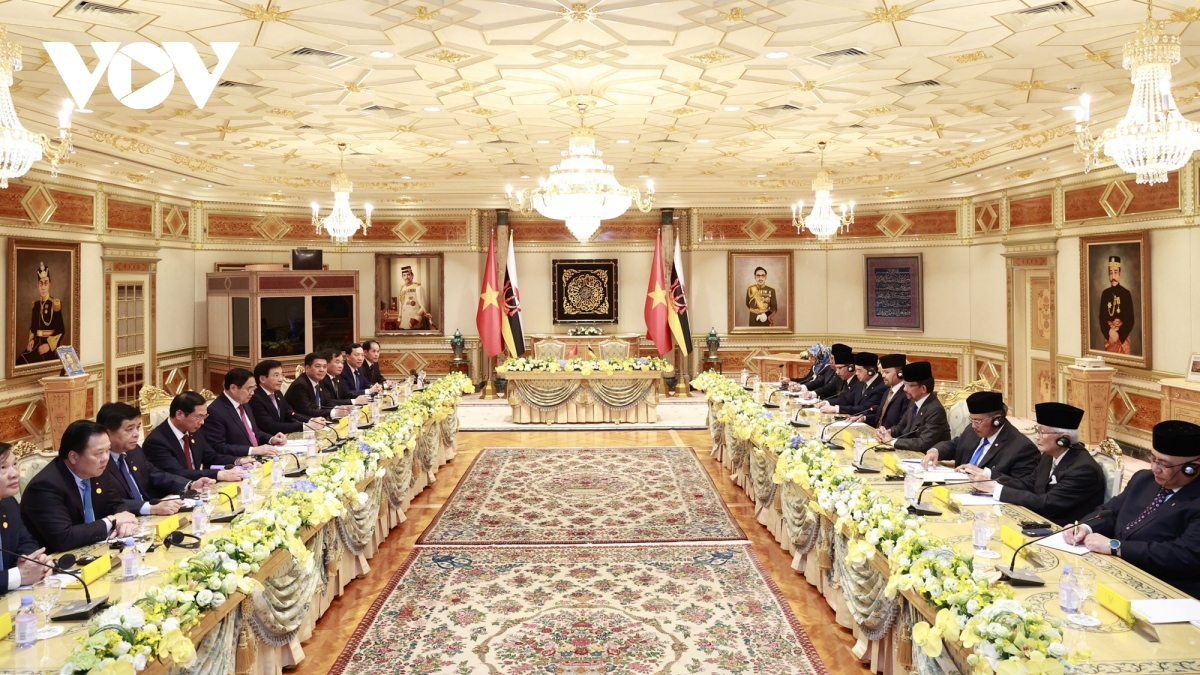 Vietnam, Brunei upbeat about flourishing all-around partnership